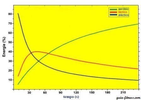 sistemas energeticos-intensidade exercicio-intensidade treino-vo2 max