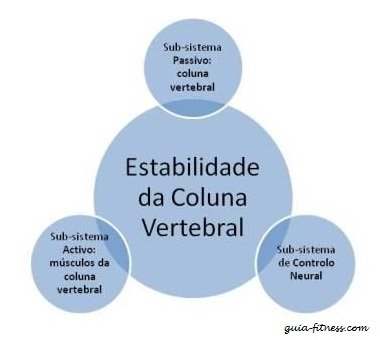 treino core integral-coluna vertebral-core-anatomia