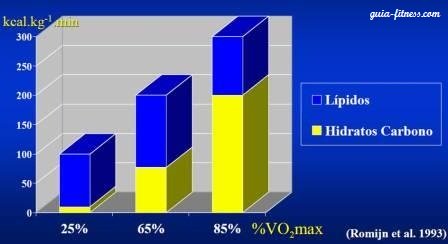 sistemas energeticos-oxidaçao lipidos-intensidade treino