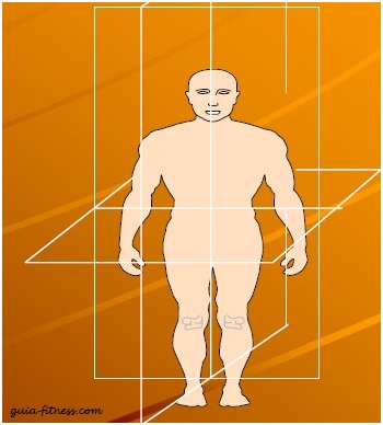 treino core integral-planos corporais-core